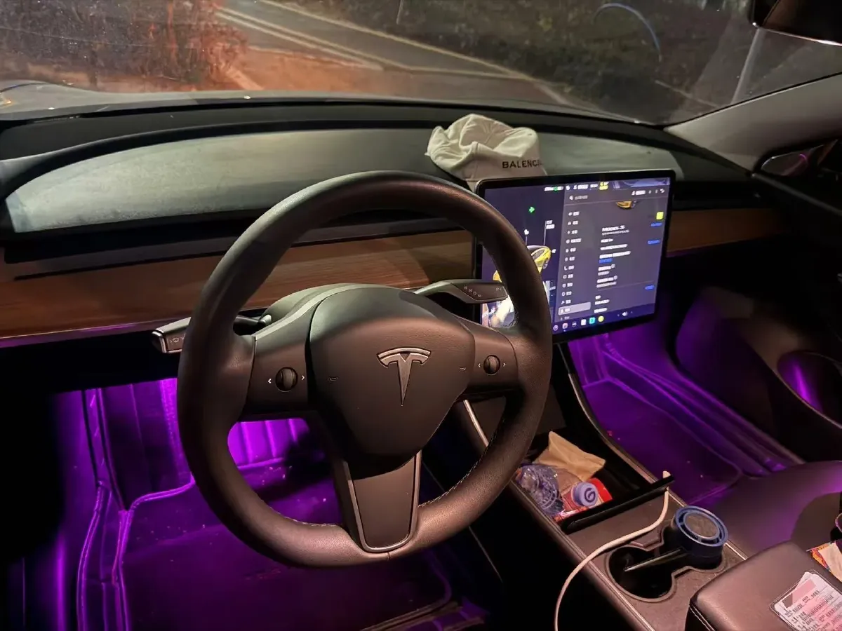 2020 Tesla Model 3 BEV 55KWH,autocango,china used car exporter,china ev exporter,chinese used car exporter,chinese used ev exporter