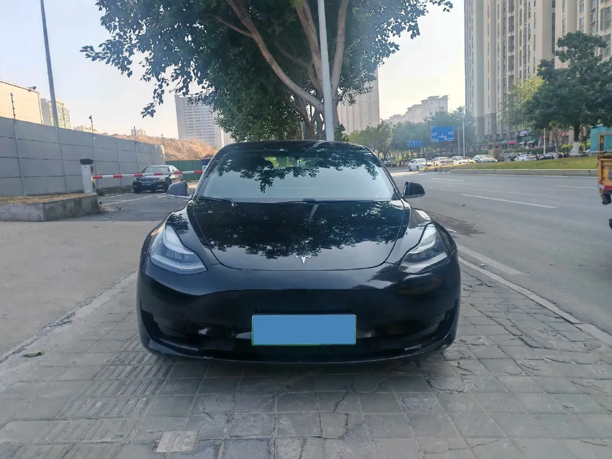 2020 Tesla Model 3 BEV 55KWH,autocango,china used car exporter,china ev exporter,chinese used car exporter,chinese used ev exporter