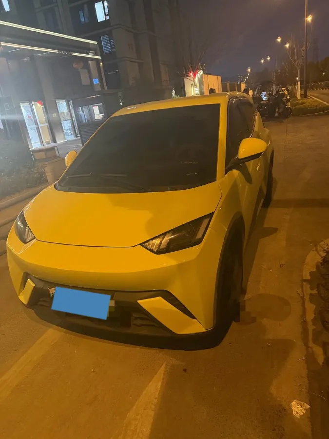 2024 BYD Seagull BEV 30.08KWH,autocango,china used car exporter,china ev exporter,chinese used car exporter,chinese used ev exporter