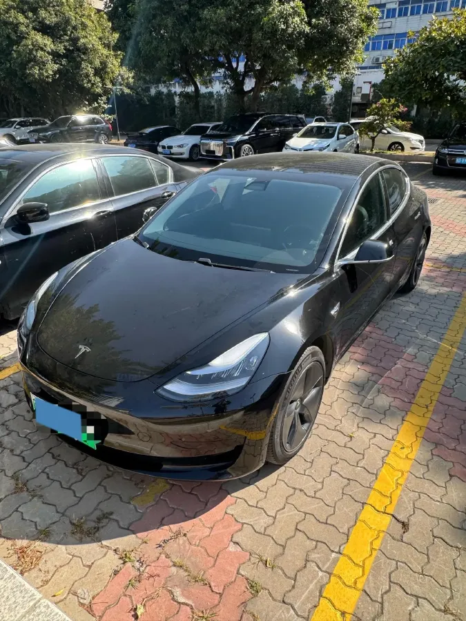 2020 Tesla Model 3 BEV 52KWH,autocango,china used car exporter,china ev exporter,chinese used car exporter,chinese used ev exporter