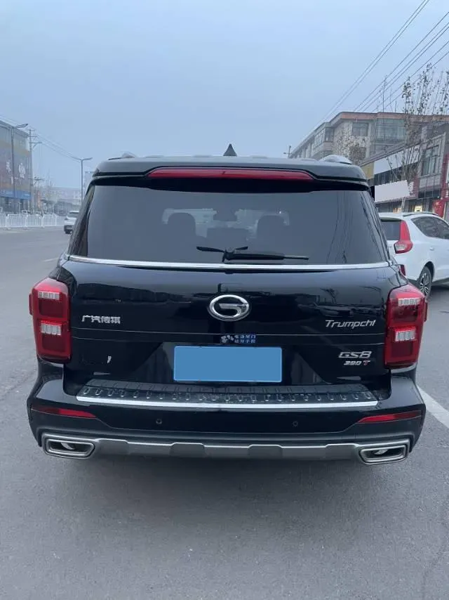 2020 GAC Trumpchi GS8 2.0T 252HP L4 6AT,autocango,china used car exporter,china ev exporter,chinese used car exporter,chinese used ev exporter