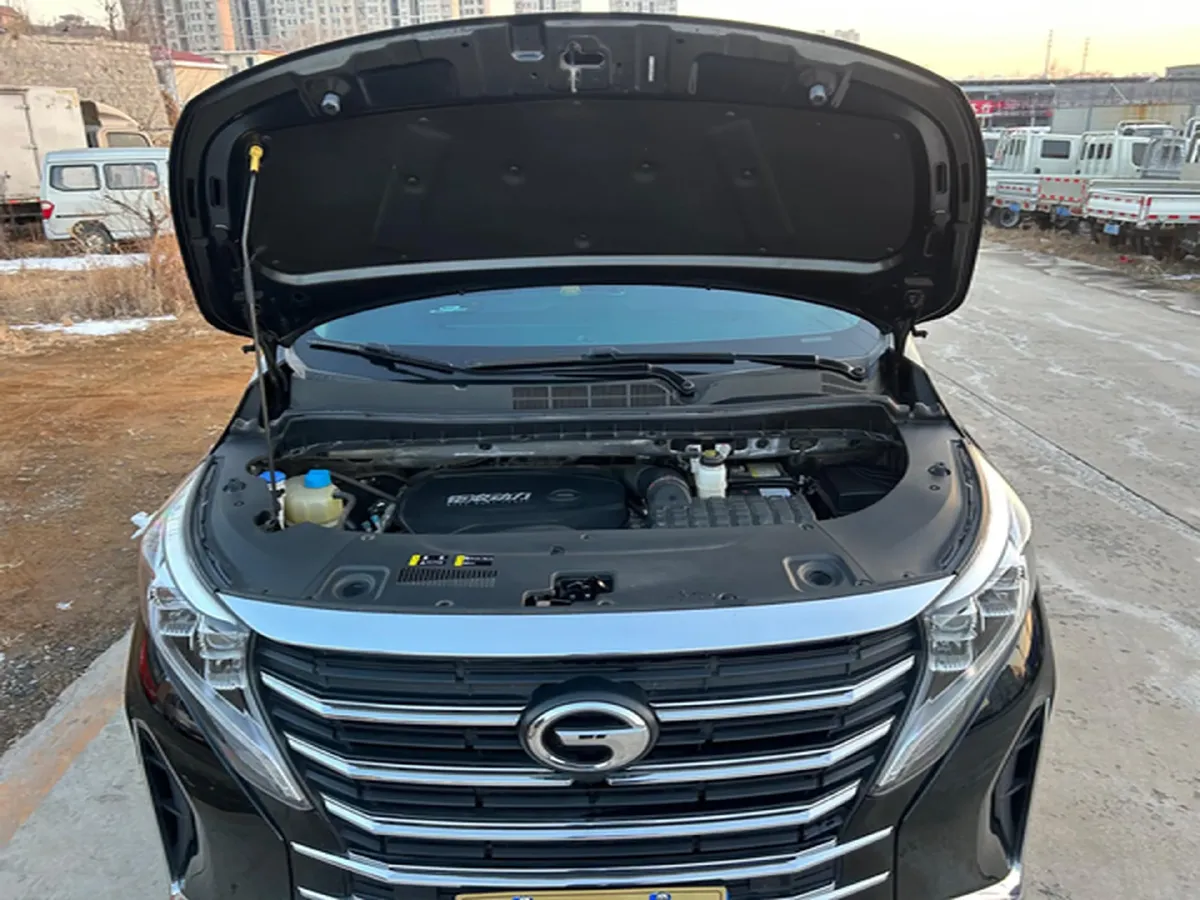 2023 GAC Trumpchi M8 2.0T 252HP L4 8AT,autocango,china used car exporter,china ev exporter,chinese used car exporter,chinese used ev exporter