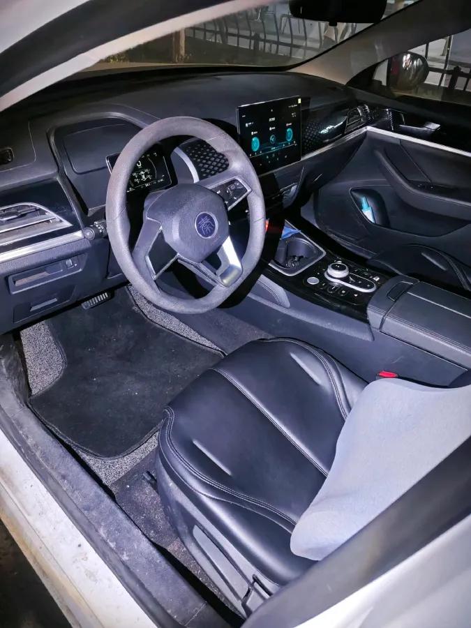 2021 DongFeng FuKang e Elysee BEV 38.4KWH,autocango,china used car exporter,china ev exporter,chinese used car exporter,chinese used ev exporter