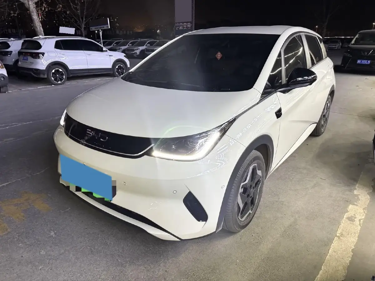 2025 BYD Dolphin BEV 45.12KWH