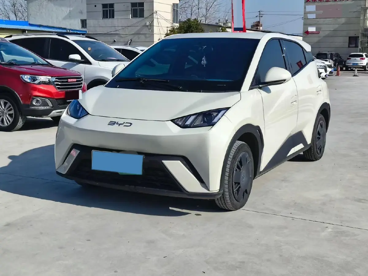 2024 BYD Seagull BEV 30.08KWH