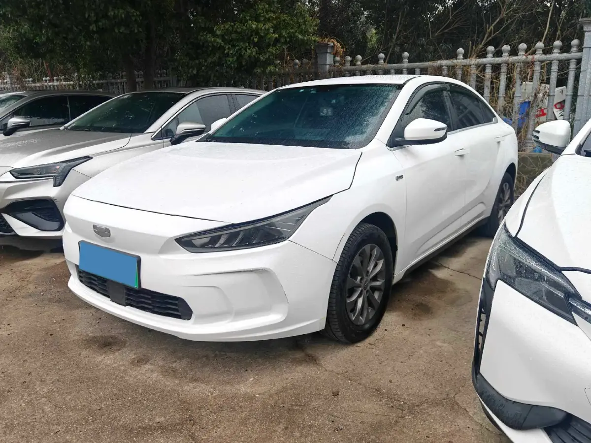 2022 BYD Yuan Plus BEV 49.92KWH
