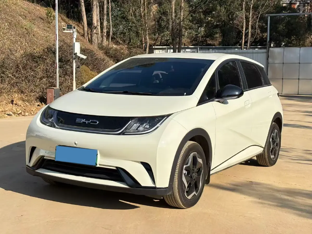 2021 BYD Yuan Pro BEV 50.1KWH