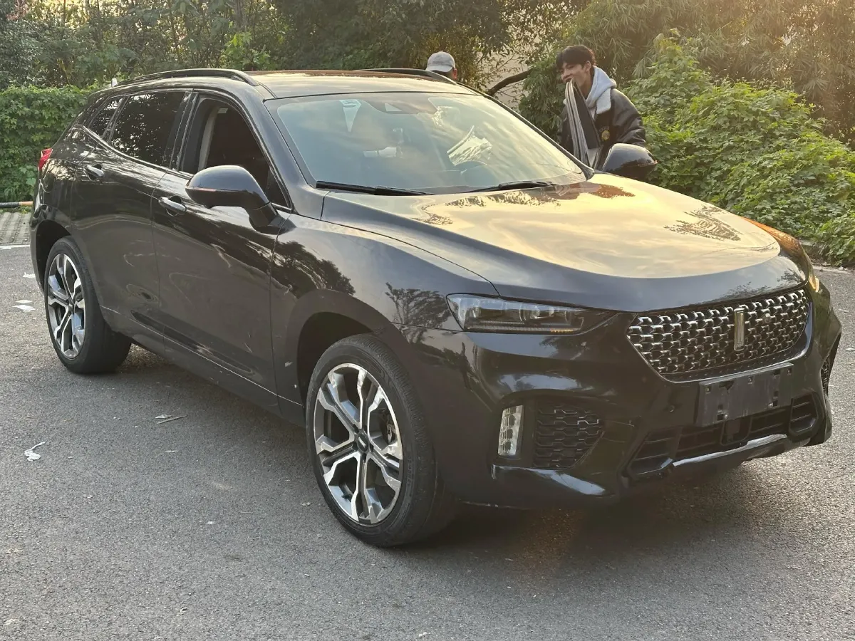 2020 WEY VV7 2.0T 227HP L4 7DCT,autocango,china used car exporter,china ev exporter,chinese used car exporter,chinese used ev exporter