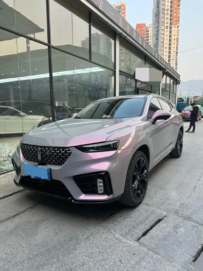 2020 WEY VV7 2.0T 227HP L4 7DCT