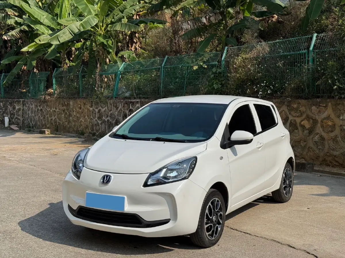 2021 ChangAn BenBen E-Star BEV 31.95KWH