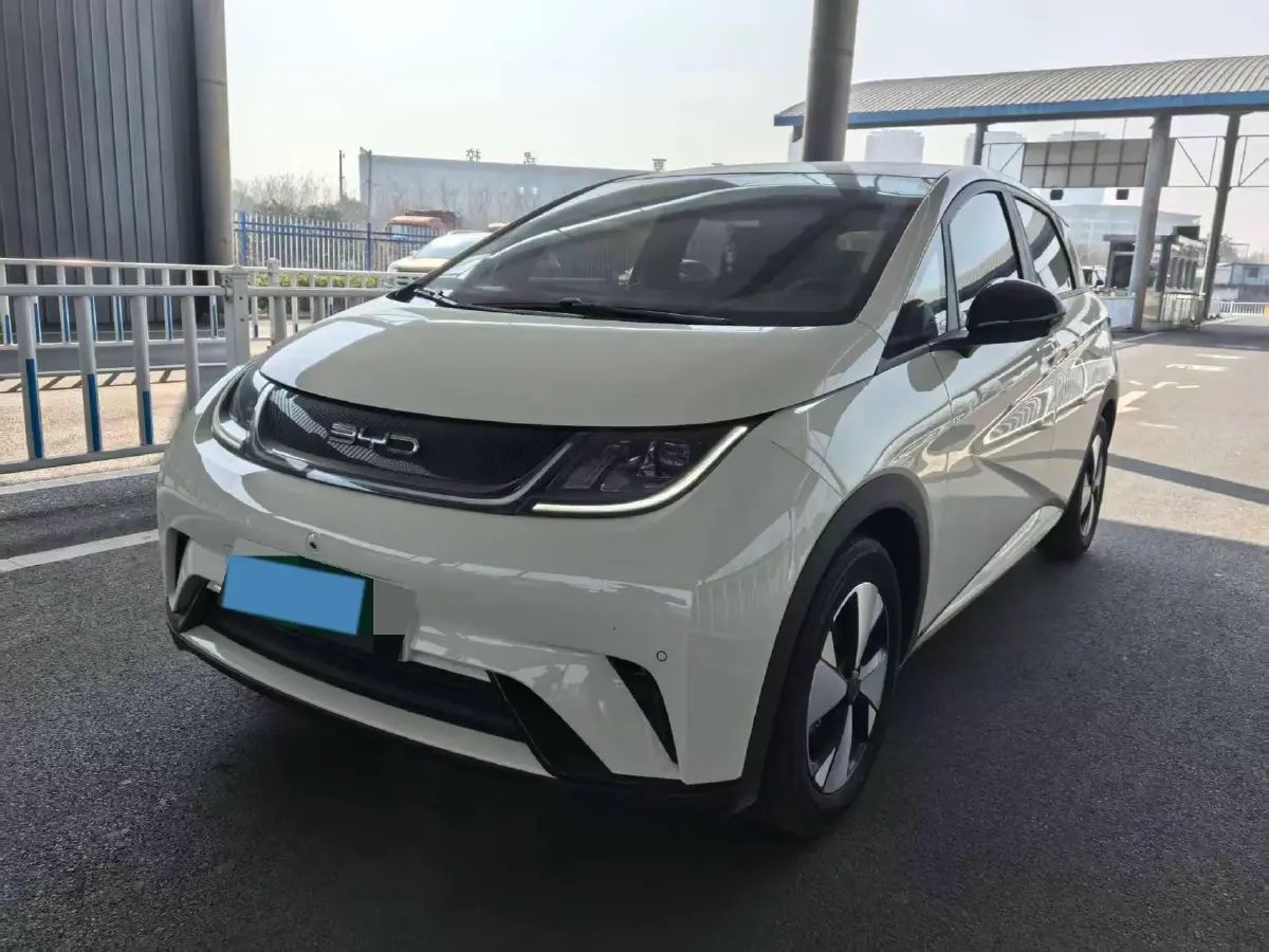 2023 BYD Dolphin BEV 44.928KWH