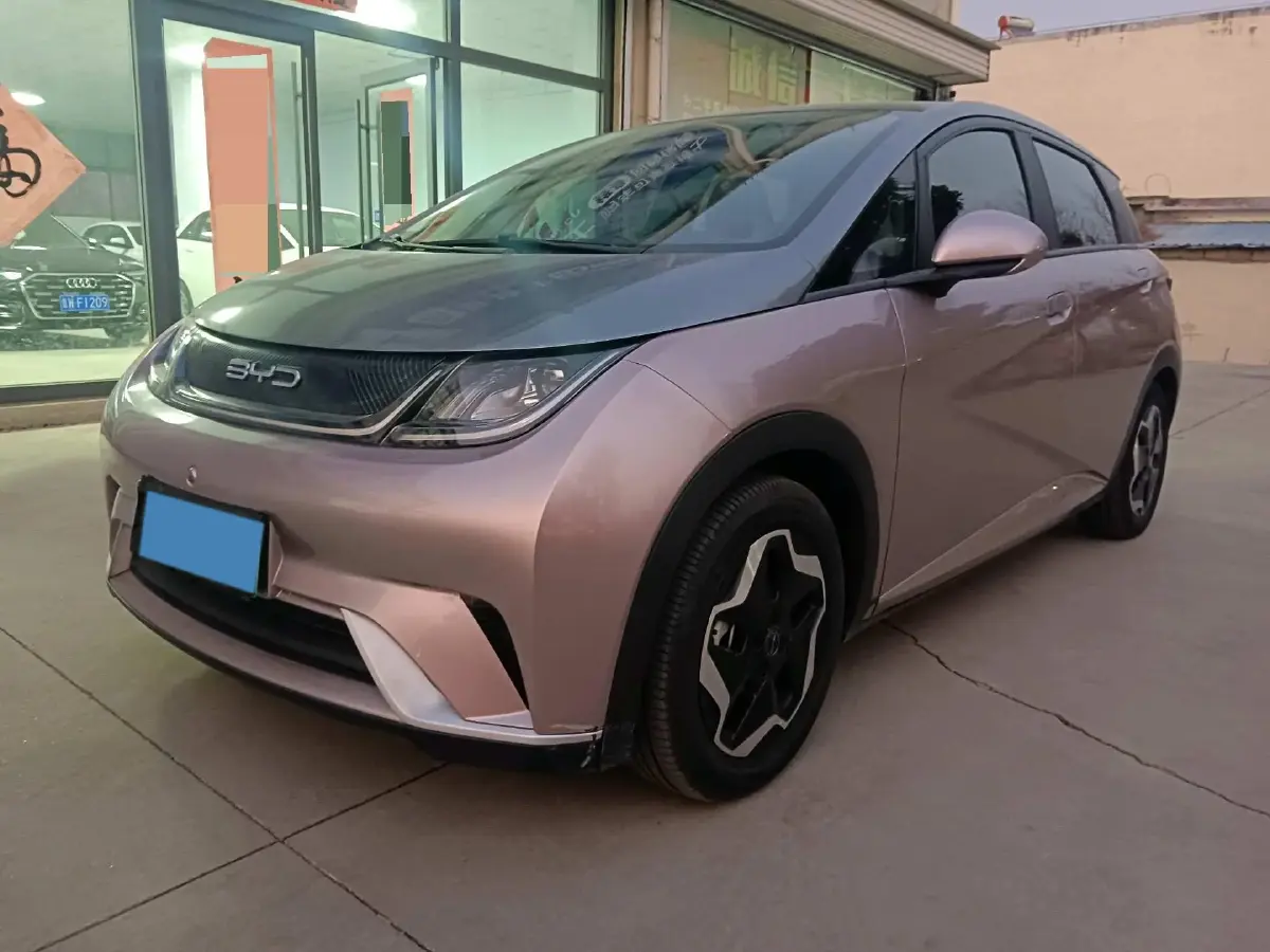 2021 BYD Yuan Pro BEV 50.1KWH