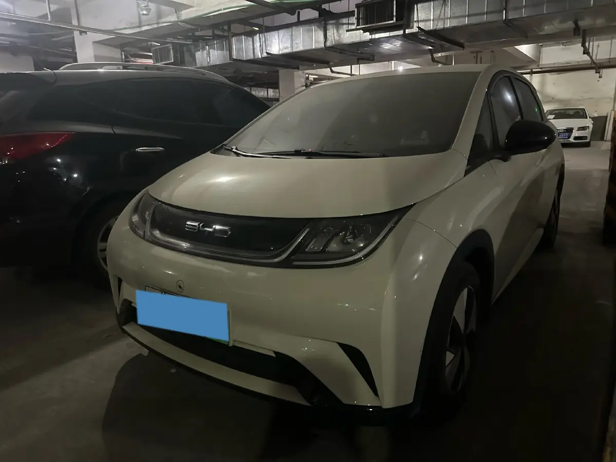 2023 BYD Dolphin BEV 44.928KWH