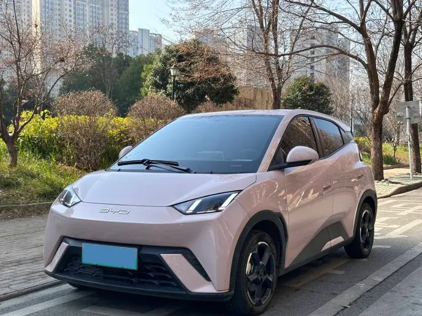 2023 BYD Yuan Pro BEV 38KWH