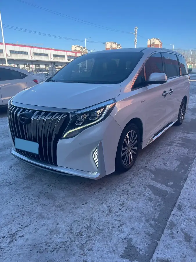 2021 GAC Trumpchi M8 2.0T 252HP L4 8AT