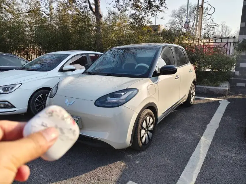 2023 WuLing BinGuo BEV 31.9KWH