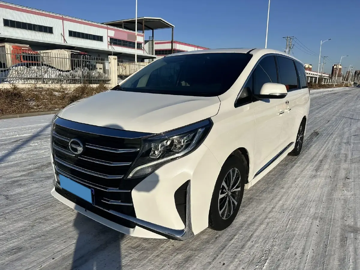 2021 GAC Trumpchi M8 2.0T 252HP L4 8AT