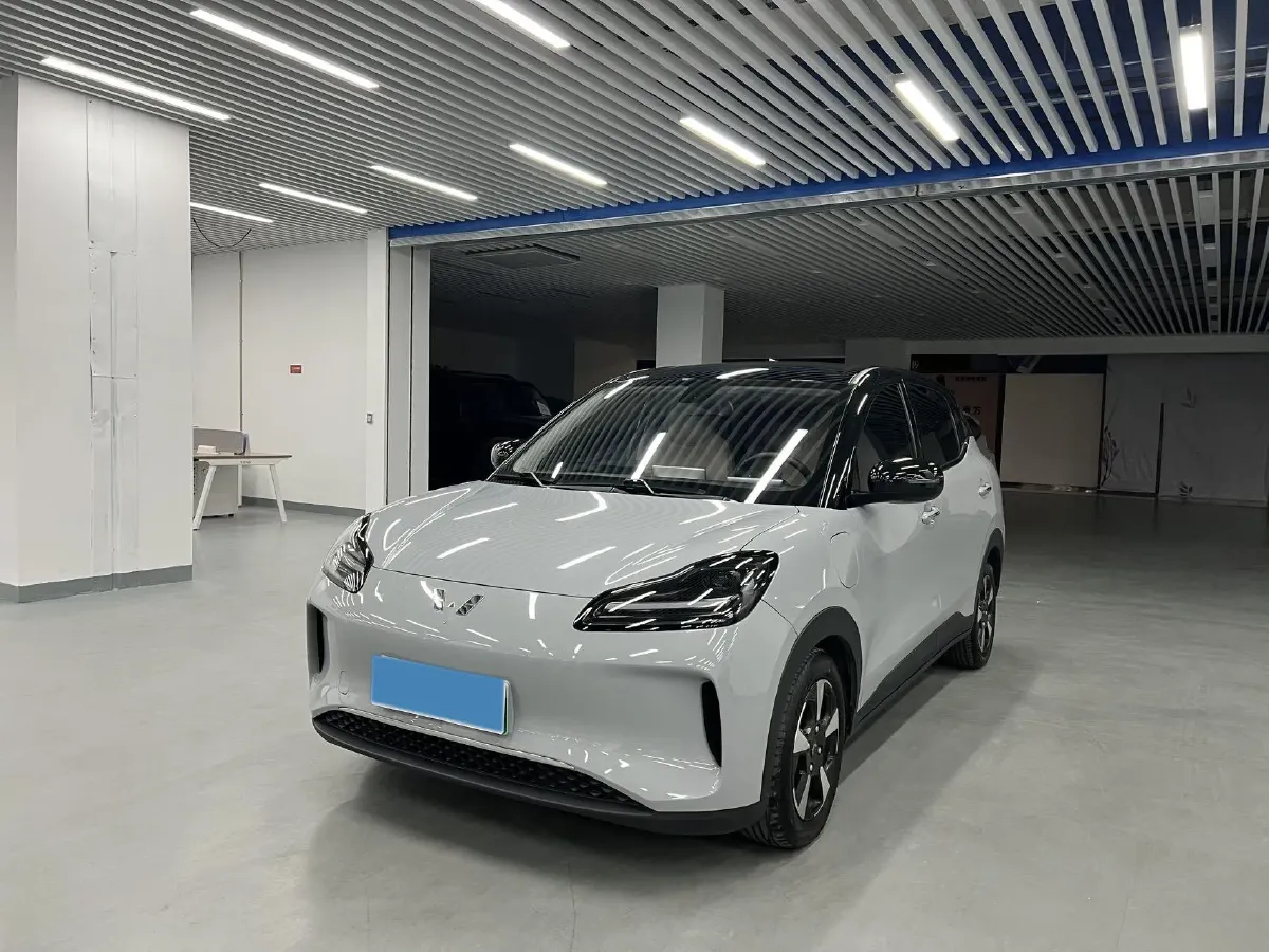 2024 WuLing BinGuoPLUS BEV 50.6KWH,autocango,china used car exporter,china ev exporter,chinese used car exporter,chinese used ev exporter