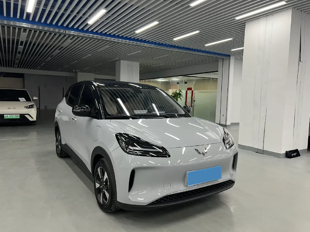 2024 WuLing BinGuoPLUS BEV 50.6KWH,autocango,china used car exporter,china ev exporter,chinese used car exporter,chinese used ev exporter