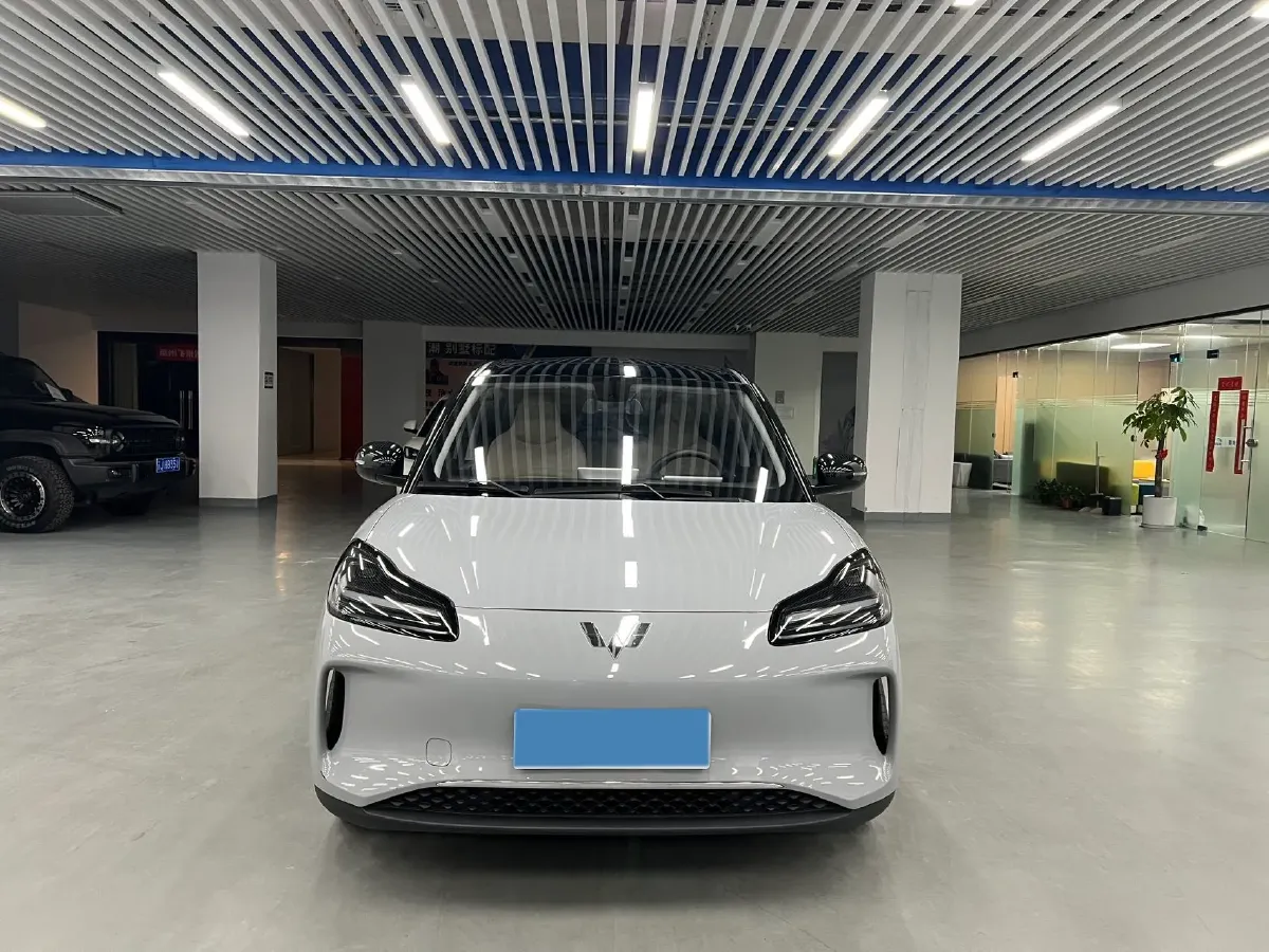2024 WuLing BinGuoPLUS BEV 50.6KWH,autocango,china used car exporter,china ev exporter,chinese used car exporter,chinese used ev exporter