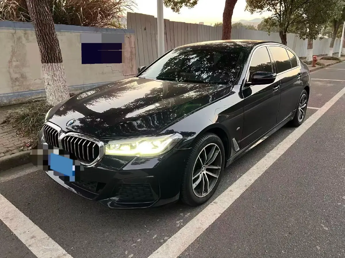 2021 BMW 5 Series 2.0T 184HP L4 8AT