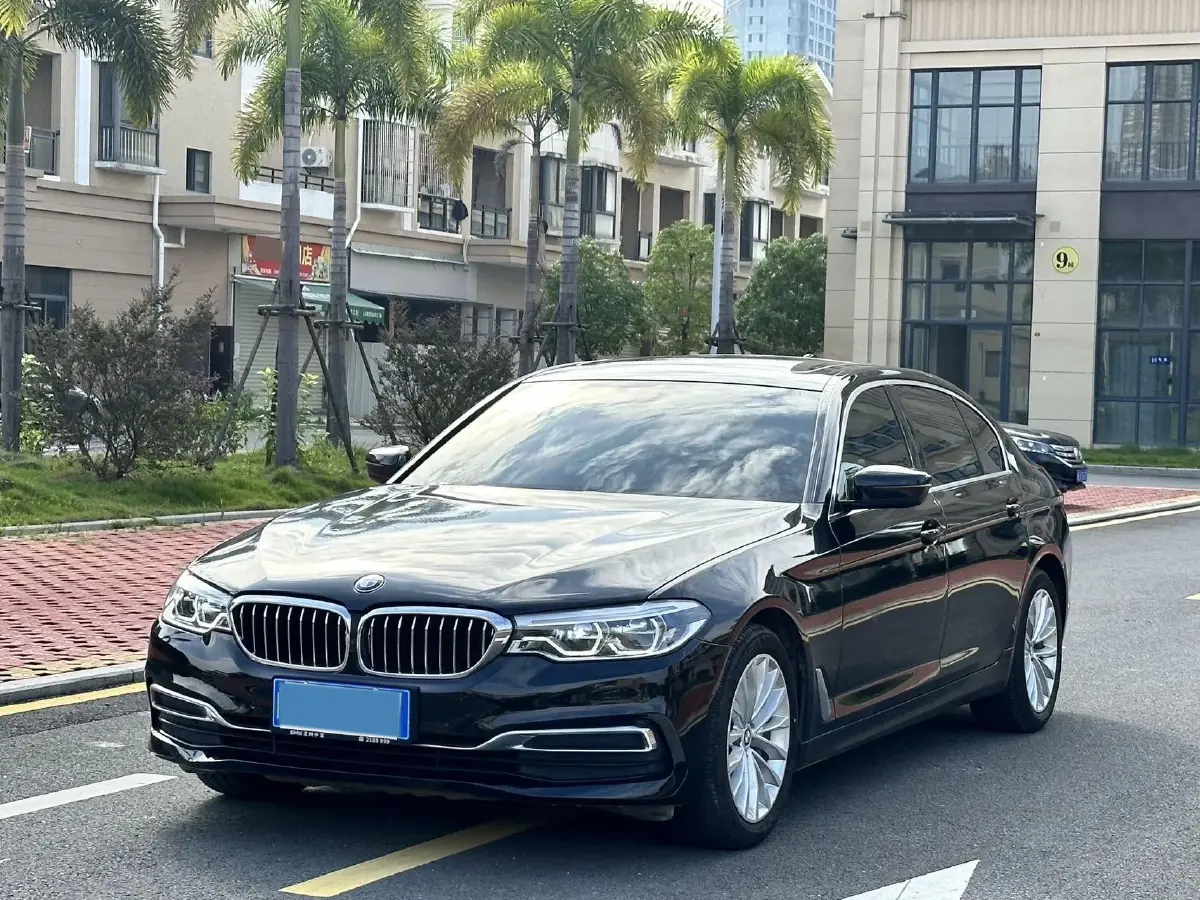 2020 BMW 5 Series 2.0T 252HP L4 8AT