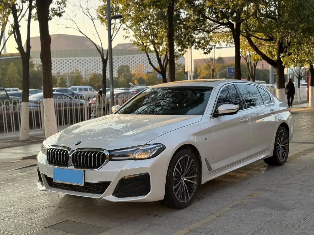 2020 BMW 5 Series 2.0T 252HP L4 8AT