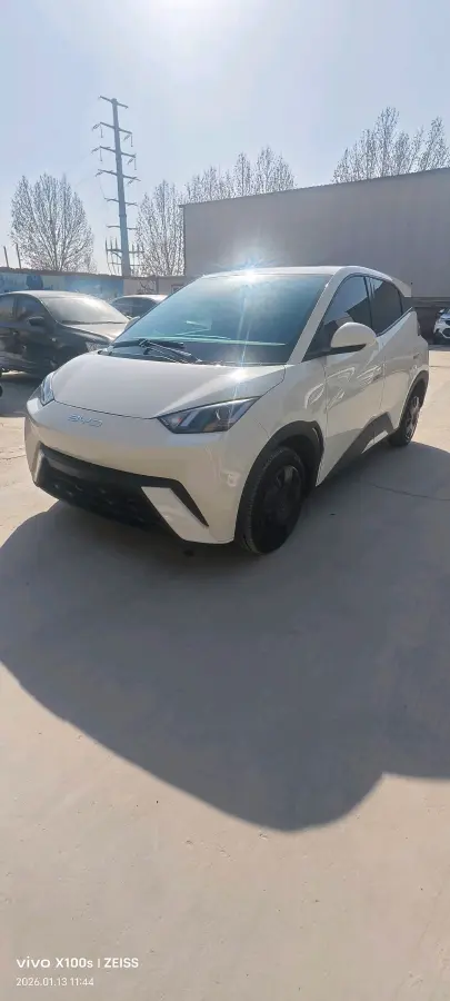 2023 BYD Seagull BEV 30.08KWH