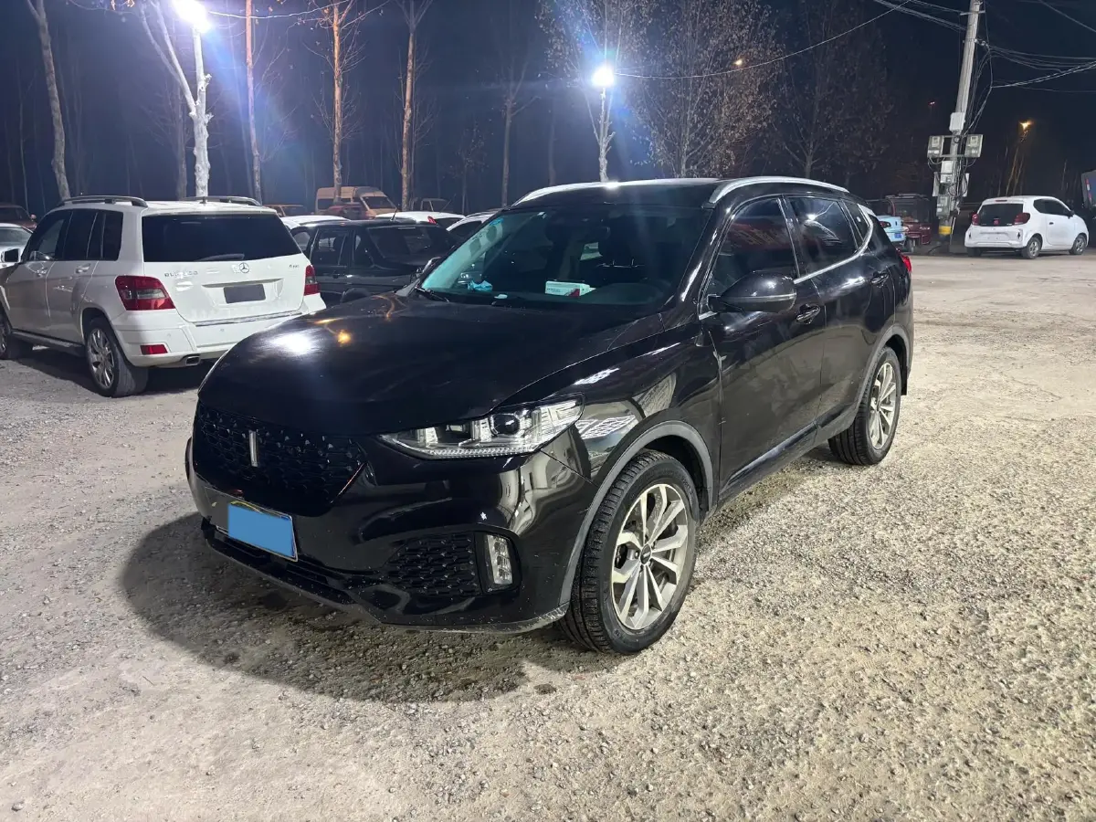 2019 WEY VV6 2.0T 224HP L4 7DCT