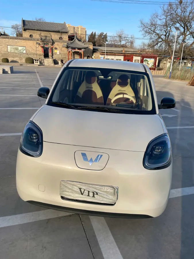 2025 WuLing HongGuang MINI EV BEV 16.2KWH,autocango,china used car exporter,china ev exporter,chinese used car exporter,chinese used ev exporter