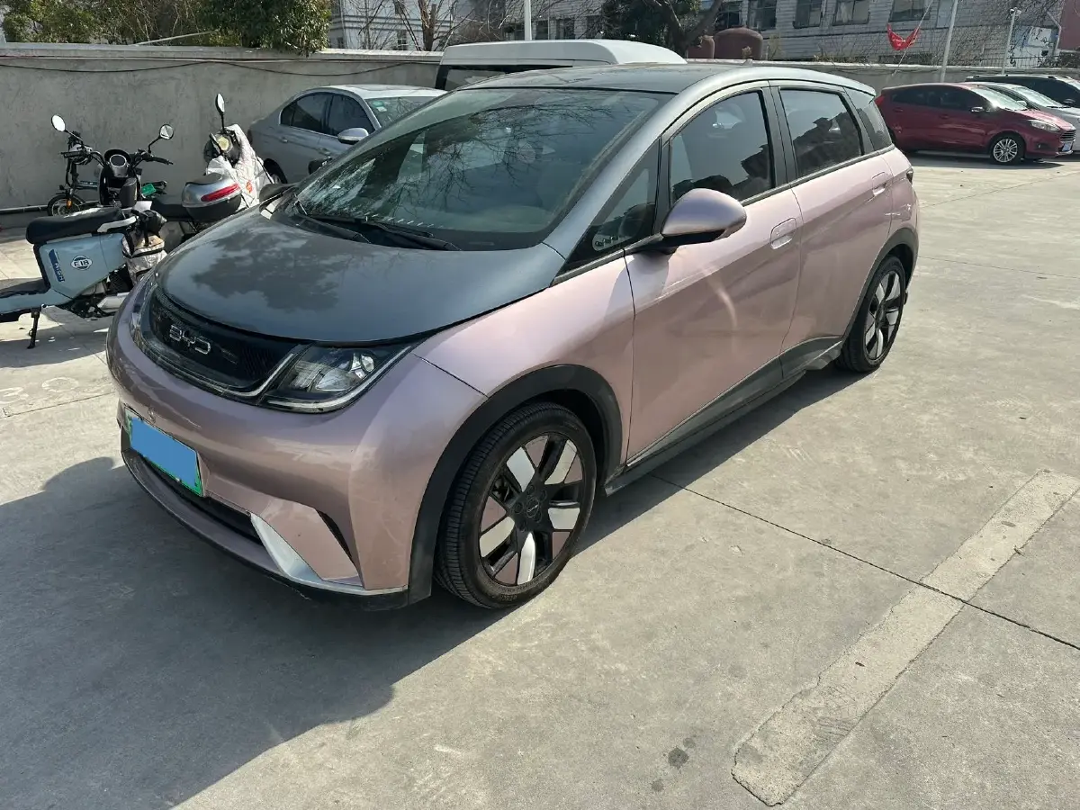 2021 BYD e2 BEV 43.2KWH