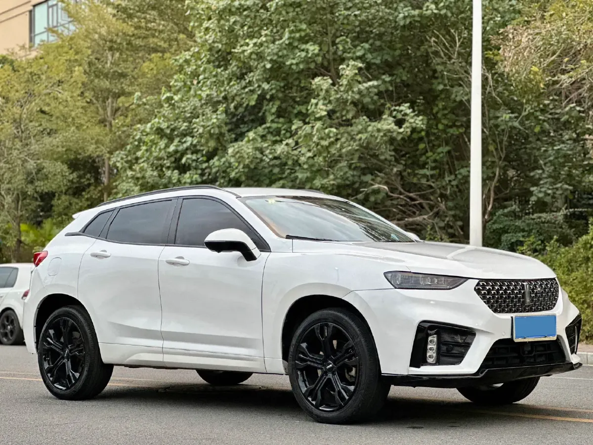 2020 WEY VV7 2.0T 227HP L4 7DCT,autocango,china used car exporter,china ev exporter,chinese used car exporter,chinese used ev exporter