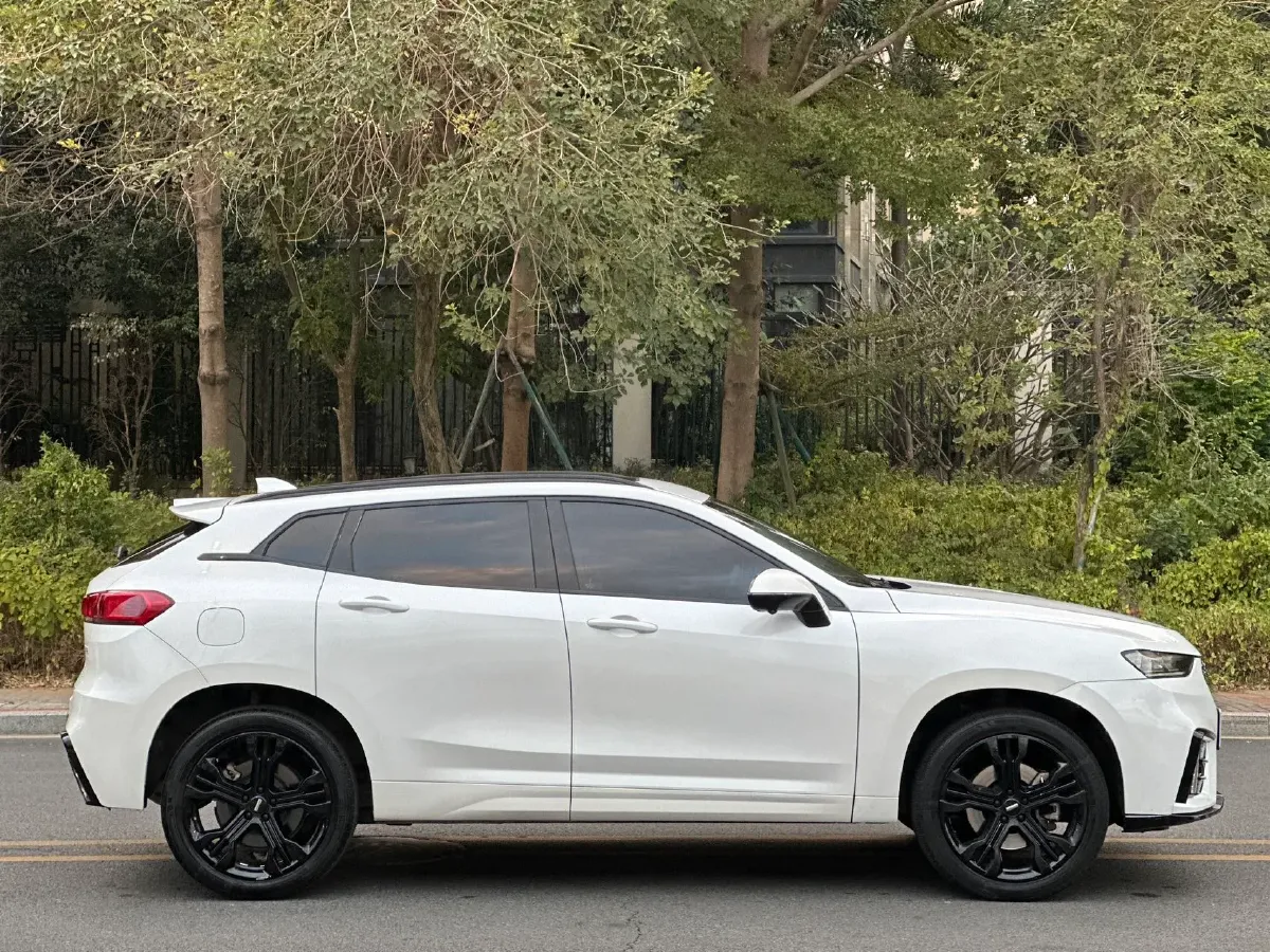 2020 WEY VV7 2.0T 227HP L4 7DCT,autocango,china used car exporter,china ev exporter,chinese used car exporter,chinese used ev exporter