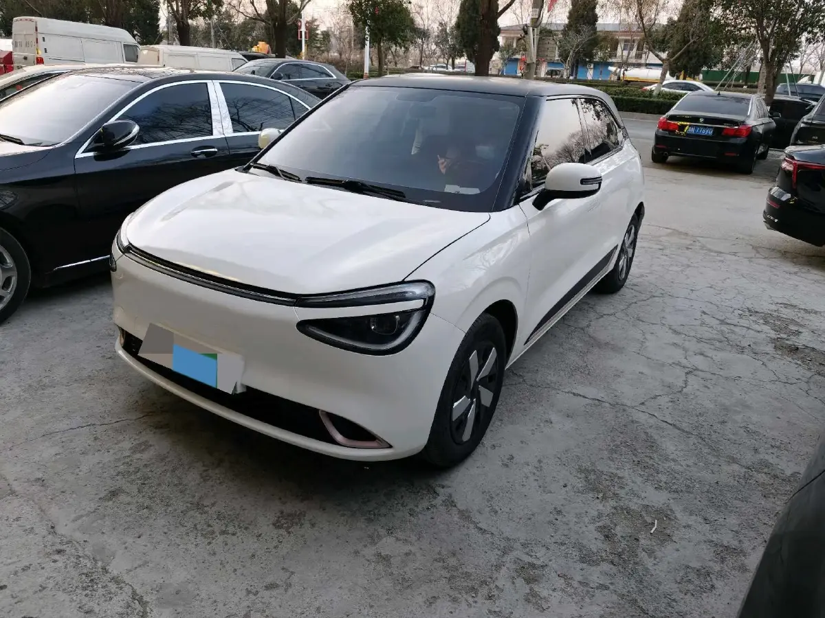 2024 DongFeng Nammi 01 BEV 31.45KWH