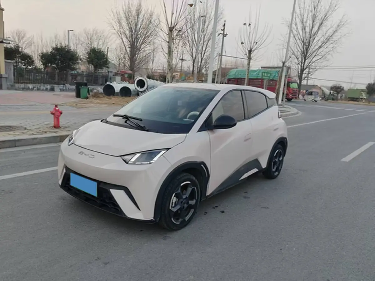 2023 BYD Yuan Pro BEV 38KWH