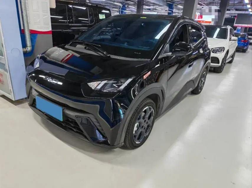 2024 BYD Seagull BEV 38.88KWH