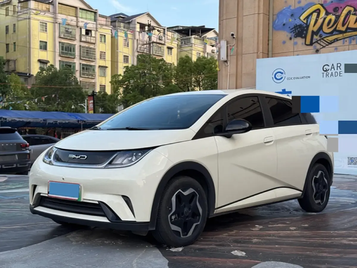 2021 BYD Yuan Pro BEV 50.1KWH