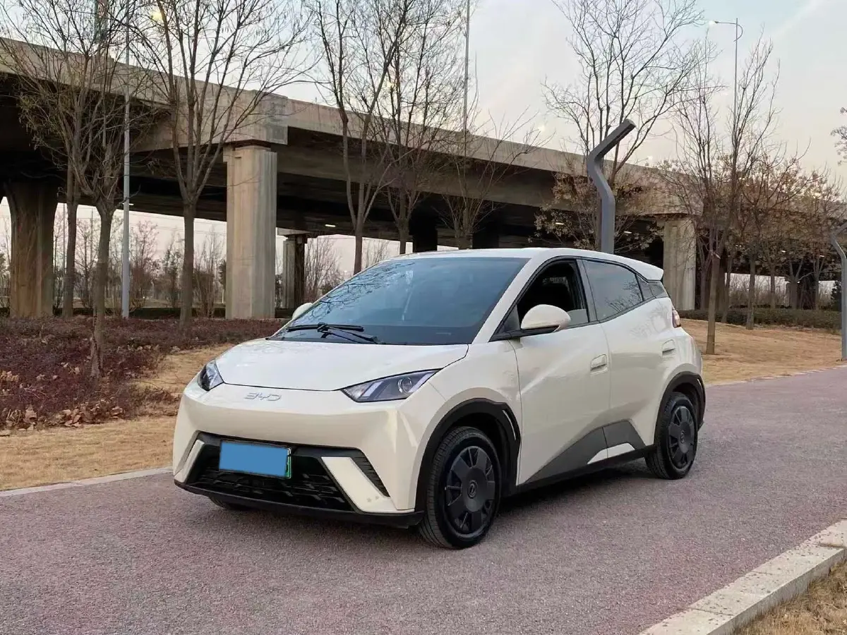 2025 BYD Seagull BEV 30.08KWH