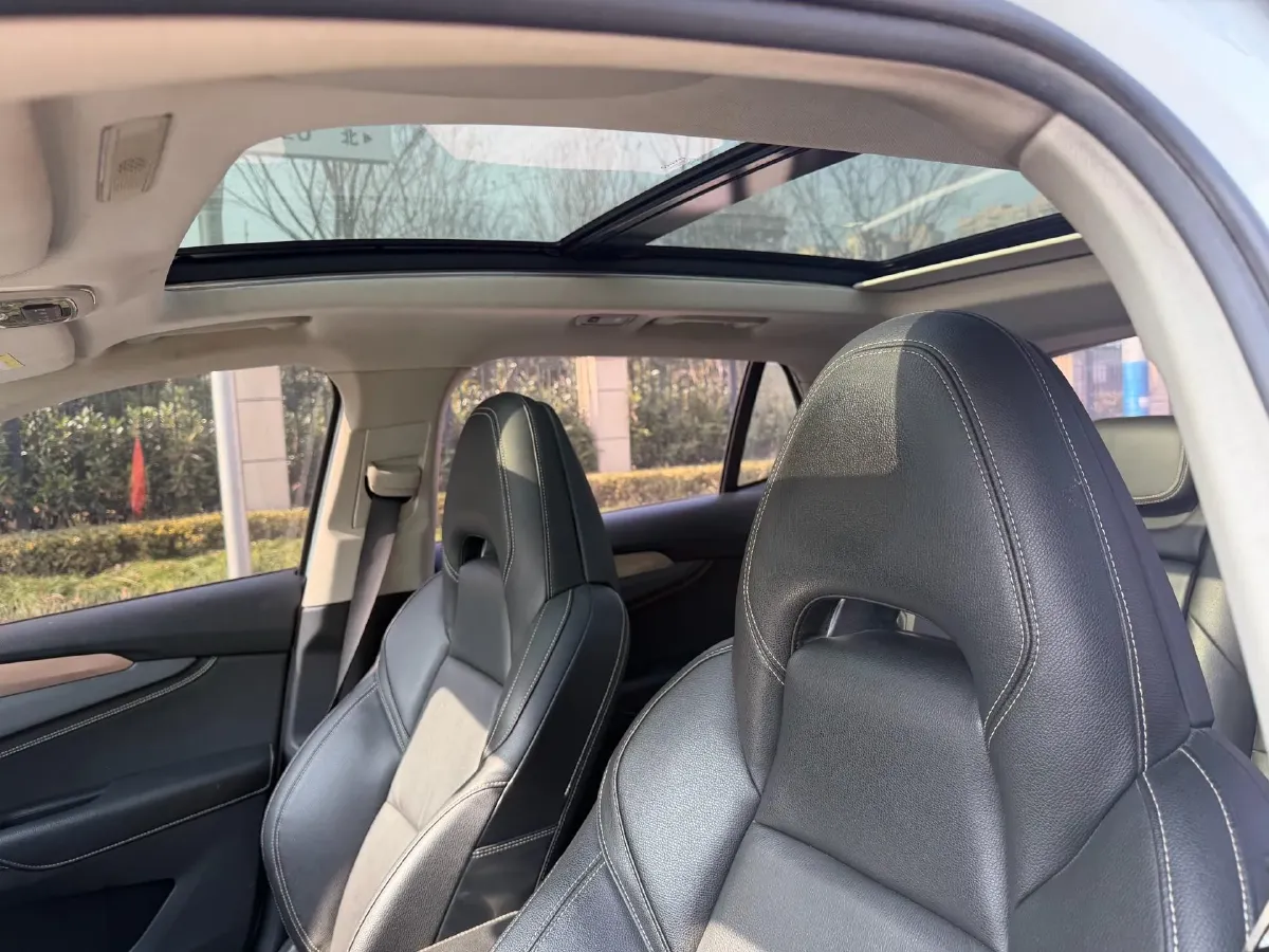 2019 ZX AUTO Terralord 2.5T 129HP L4 6AT,autocango,china used car exporter,china ev exporter,chinese used car exporter,chinese used ev exporter