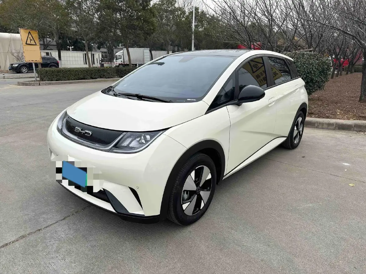 2023 BYD Dolphin BEV 44.928KWH