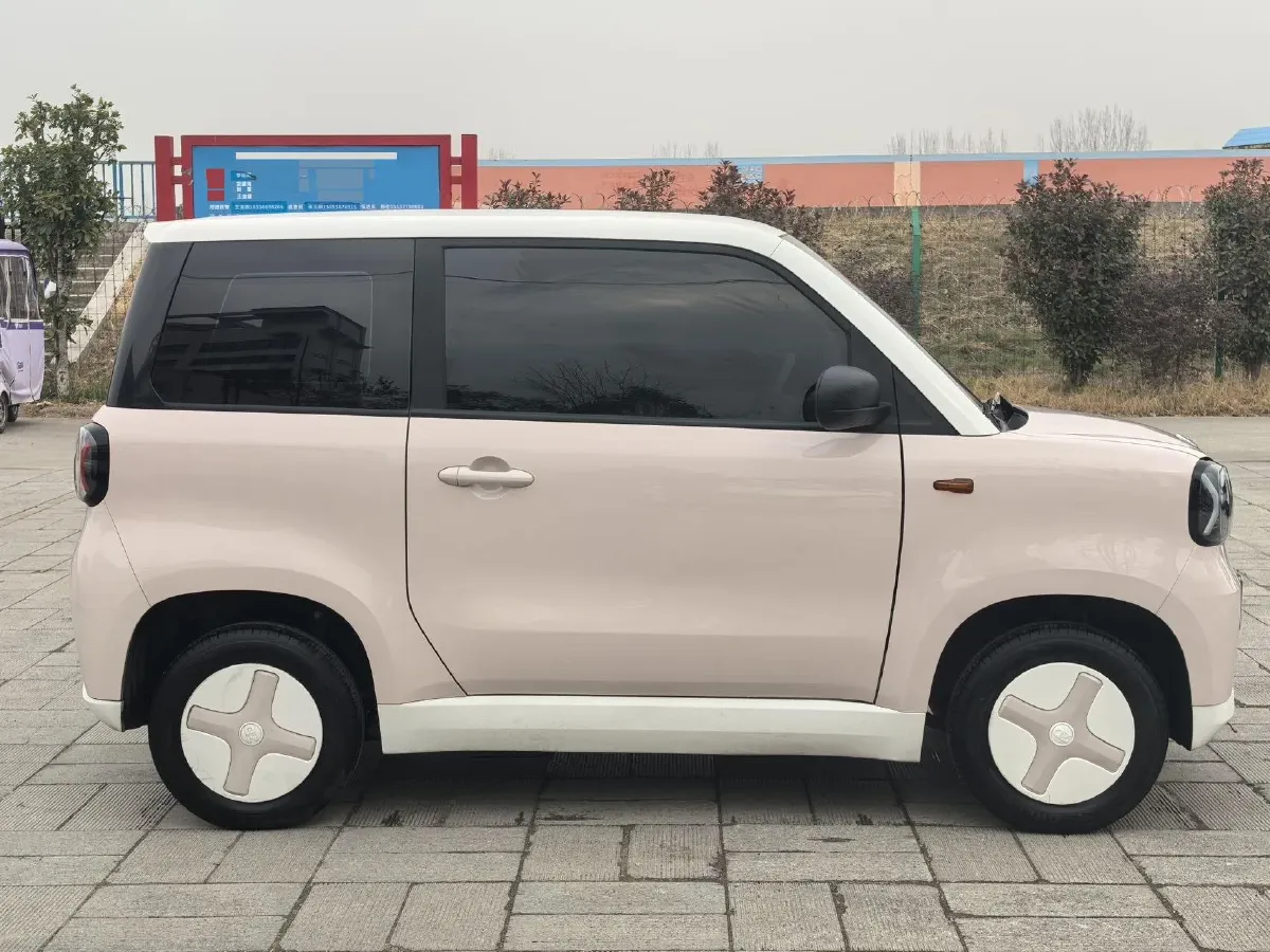 2024 ZD Rainbow BEV 17.18KWH,autocango,china used car exporter,china ev exporter,chinese used car exporter,chinese used ev exporter