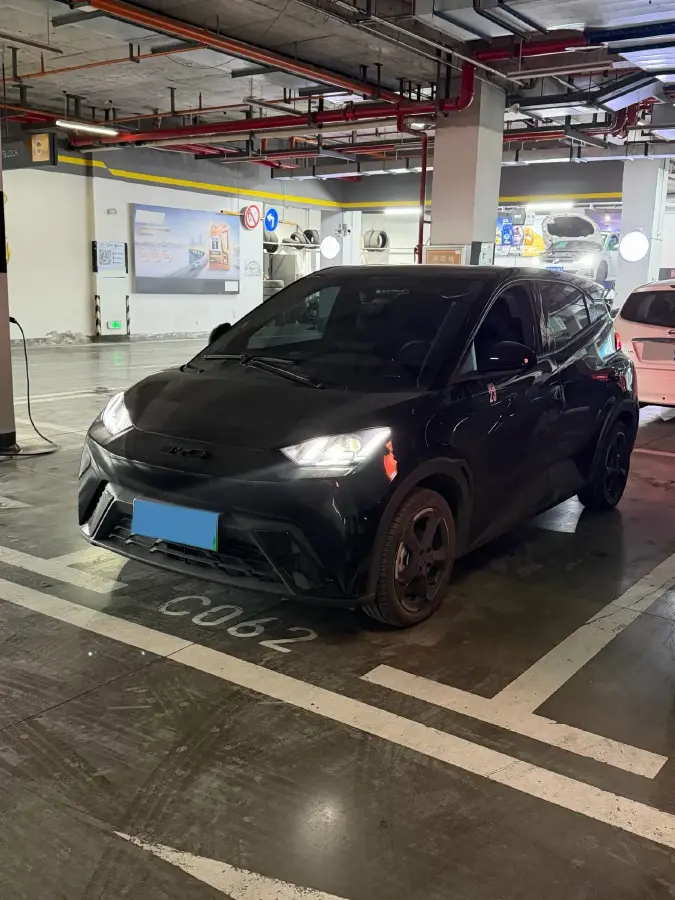 2023 BYD Seagull BEV 30.08KWH