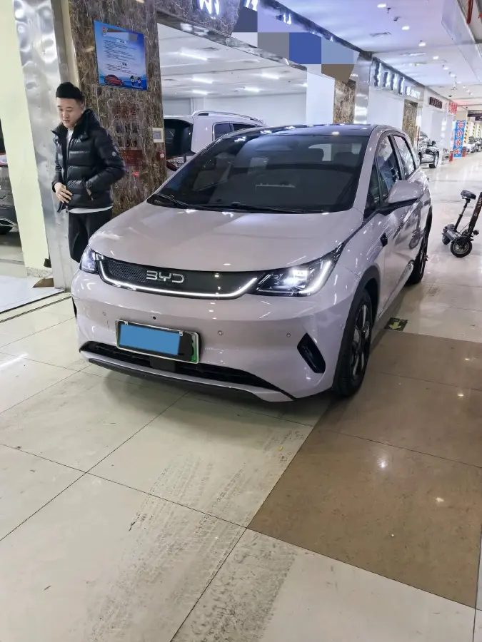 2025 BYD Dolphin BEV 45.12KWH