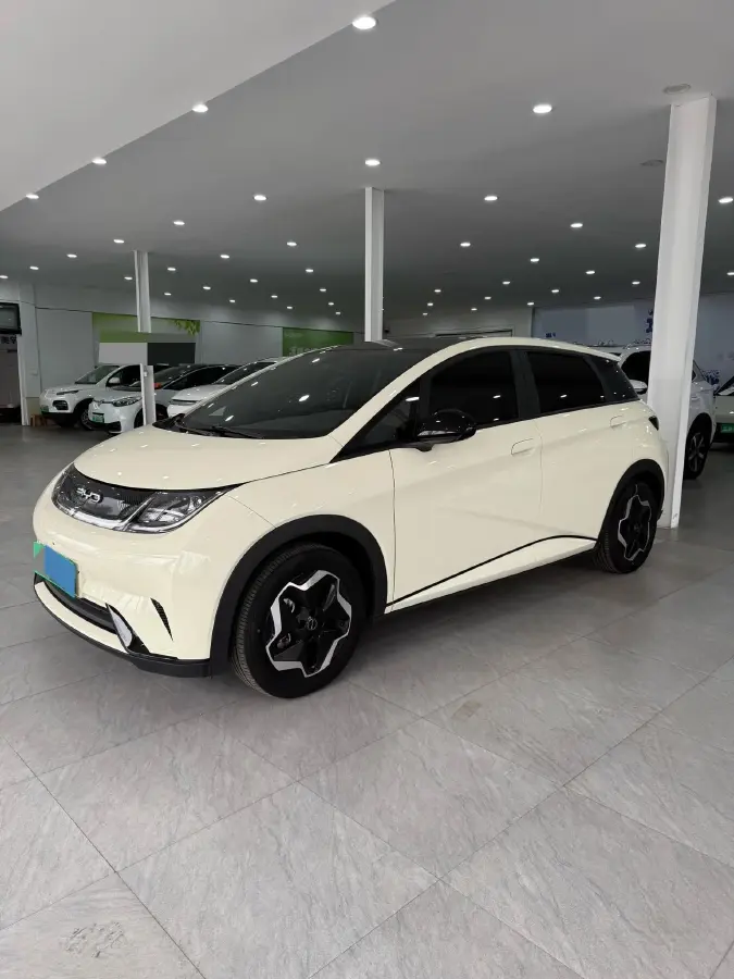 2021 BYD Yuan Pro BEV 50.1KWH