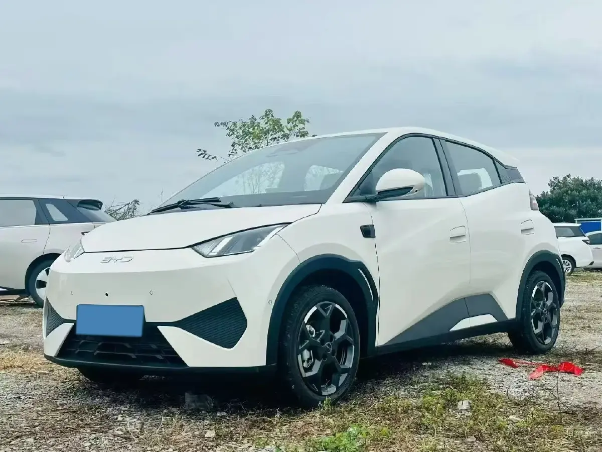 2025 BYD Seagull BEV 30.08KWH