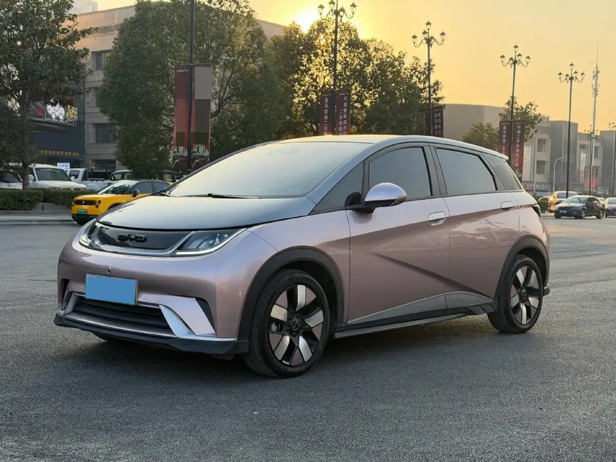 2021 BYD e2 BEV 43.2KWH