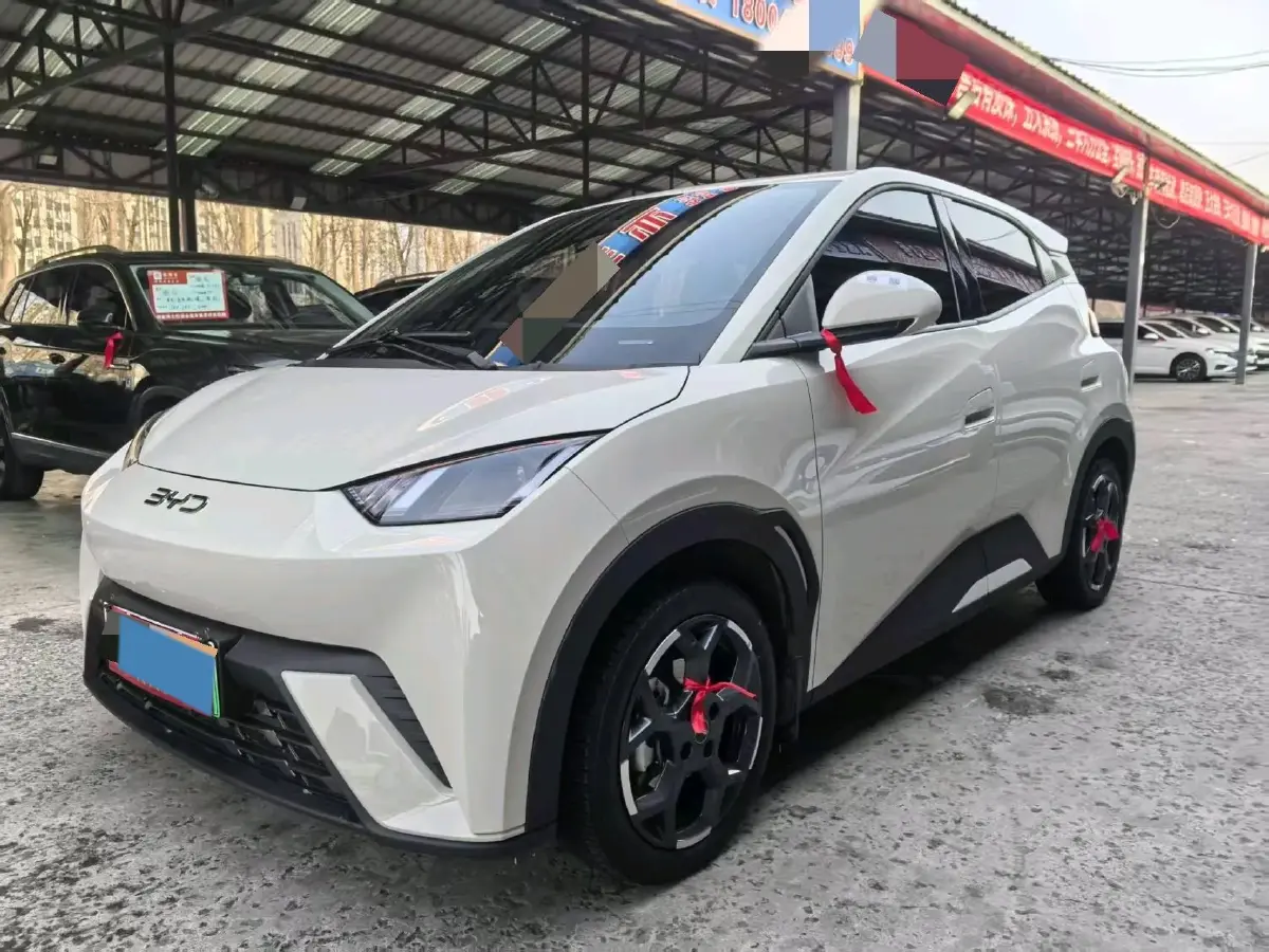 2025 BYD Seagull BEV 30.08KWH