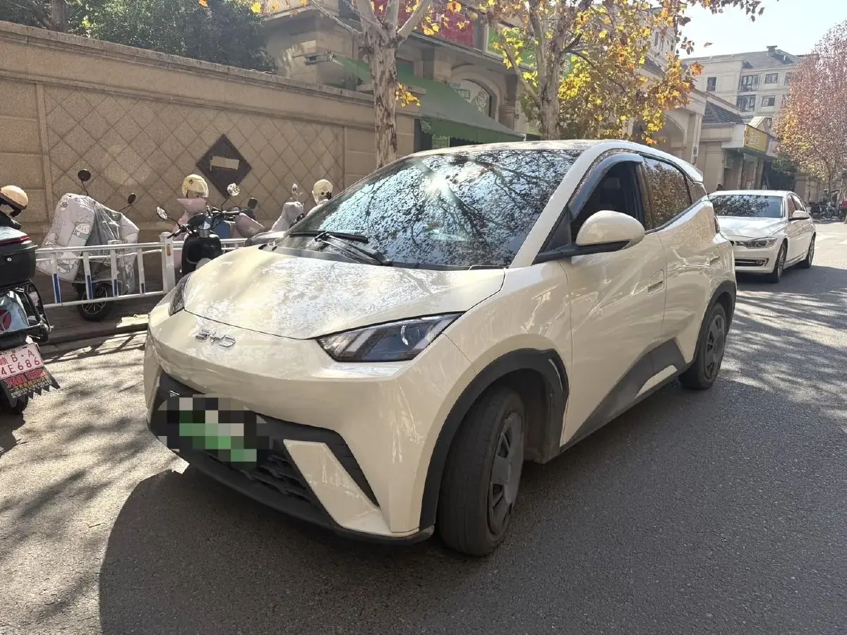 2024 BYD Seagull BEV 30.08KWH