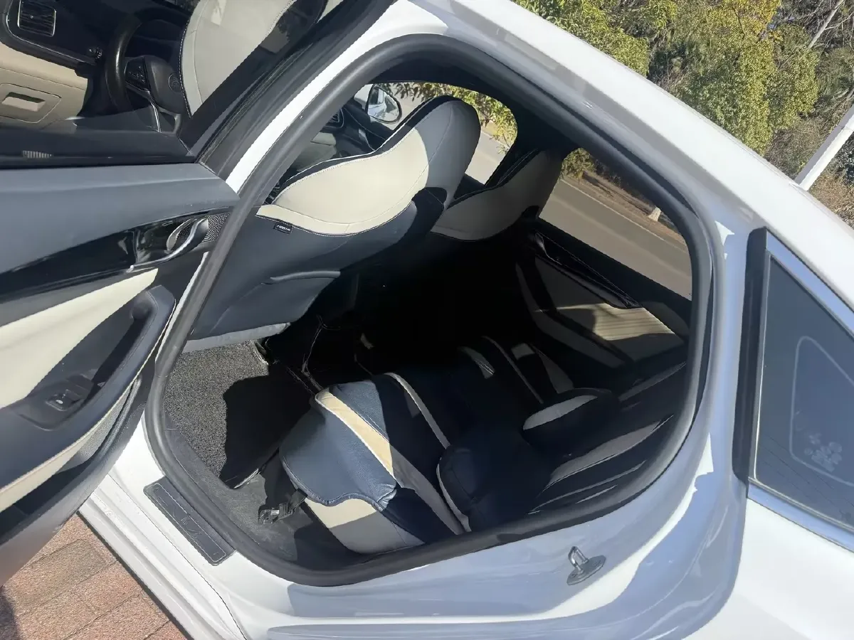 2021 DongFeng FuKang e Elysee BEV 30.7KWH,autocango,china used car exporter,china ev exporter,chinese used car exporter,chinese used ev exporter