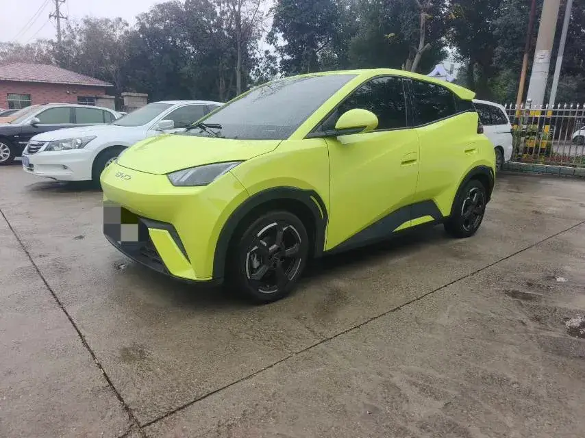 2023 BYD Yuan Pro BEV 38KWH